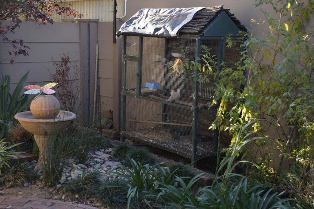 Two Bells Guest House Bloemfontein Exteriör bild